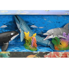 Collection image for: Animales Marinos
