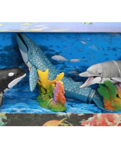 Collection image for: Marine Animals