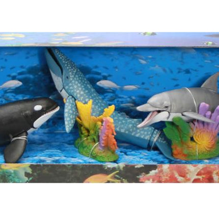 Animales marinos – Caja larga