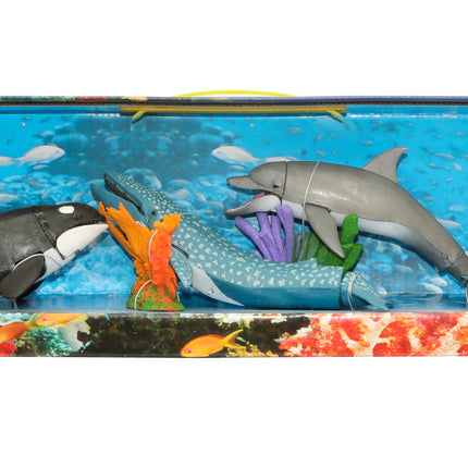 Animales marinos – Caja larga